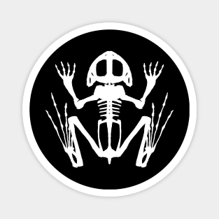 Frog Skeleton (White) Magnet